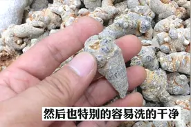 三七的门门道道最容易摸透，记住滑七和帽七才是好不好的关键。视频封面