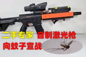 小伙化身二手专家，自制激光枪向蚊子宣战视频封面