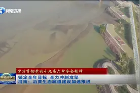 河南：沿黄生态廊道建设加速推进视频封面