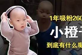 凭借“拆家”走红，1年涨粉2600万的小橙子，到底有啥魅力？