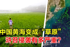 美国卫星拍下神奇一幕，我国黄海变成了草原，这到底是怎么回事？视频封面