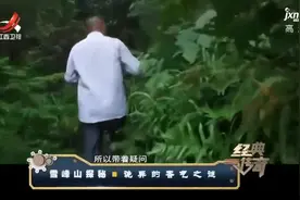 雪峰山香地一年四季散发异香，香得还挺诡异，闻了后身体就不对劲视频封面