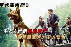 把我关笼子送这条狗去上学，高智商军犬为主人复仇，真实事件改编视频封面