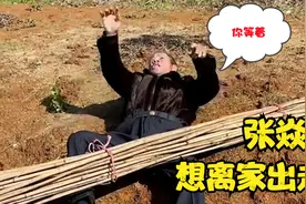 张焱在地里搬东西，不小心把老爸给压住了，老爸气的脱鞋暴揍他视频封面