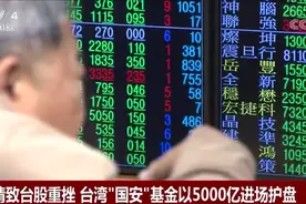 疫情致台股重挫 台湾“国安”基金以5000亿进场护盘视频封面