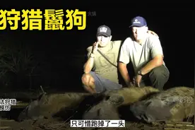 猎人狩猎鬣狗全过程，感谢观看视频封面