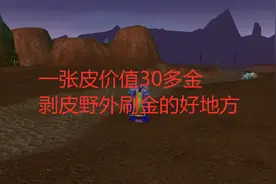 魔兽世界tbc：一张皮价值30多金，剥皮野外刷金的好地方视频封面
