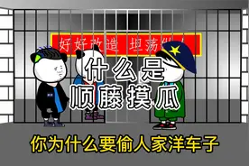什么是顺藤摸瓜  实话实说视频封面