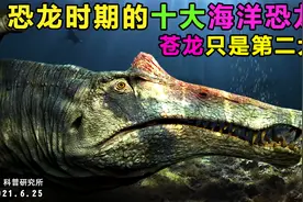 十大海洋恐龙，快来看看你认识几个视频封面