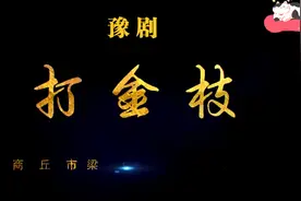 豫剧 《打金枝》红脸王刘忠河主演视频封面