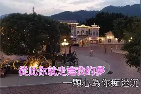 歌曲【你是我梦中的情人】视频封面
