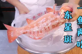 米其林菜品的做法把一条东星斑做出两道菜，鲜美嫩滑汤鲜味美！视频封面