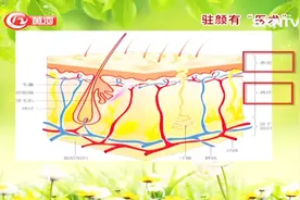 专家来了：专家讲述皮肤的结构和功能，不愧是人体最大的器官视频封面
