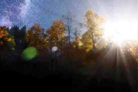革命风火满天红，我自岿然不动。——毛泽东视频封面