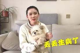 小狗不知道咋了，俩腿拖着屁股来回蹭地，哼哼唧唧的让人很心疼视频封面