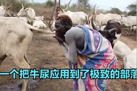 南苏丹蒙达部落，用牛尿洗头的奇葩习惯，把牛产品应用到了极致视频封面