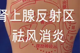肾上腺反射区  祛风消炎主治疾病各种炎症 哮喘 心律不齐 风湿症视频封面