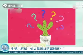 生活小百科：仙人掌真的可以防辐射吗？视频封面