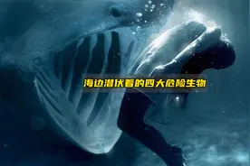 海边潜伏着的四大危险生物，千万要小心！视频封面