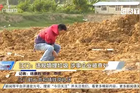 江门：违规填埋垃圾 涉事企业被查处视频封面