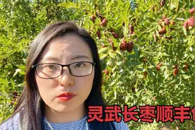 农村女主播来到宁夏灵武，直播卖当地长枣，价格实惠还顺丰包邮！视频封面