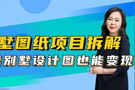 冷门项目拆解，卖别墅设计图也能变现视频封面