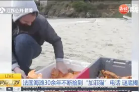 海滩30余年不断捡到“加菲猫”电话，当地居民偶然发现山洞的秘密视频封面