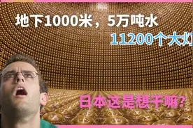 粒子物理13︱标准模型为什么说中微子没有质量？中微子振荡是啥？视频封面