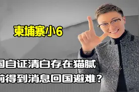 柬埔寨小6真假难辨，否认“五嫂事件”，逃避抓捕回国避难？视频封面