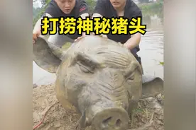 强磁打捞，发现神秘猪头......视频封面
