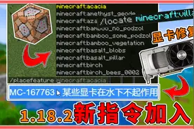 我的世界：显卡致盲导致MC错误？1.18.2更新，新命令加入游戏！视频封面