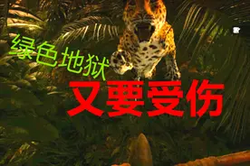 绿色地狱，丛林寻宝被野兽抓伤，利用蚂蚁治疗，谁能想的到？