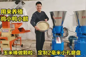 鸡鸭鹅饲料颗粒怎么生产？玉米棒+豆饼+麦麸，300型定制2毫米磨盘视频封面