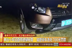 绿化带内违停罚七百元！最高可罚万元，长沙整治绿地违停放大招视频封面
