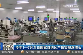 甘肃：今年1—7月兰白国家自创区产值实现双增长视频封面