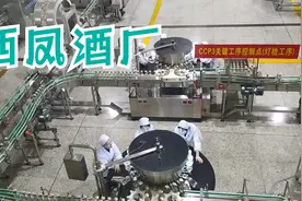 参观宝鸡西凤酒厂，两个多小时的路线，以后再也不会来了！视频封面