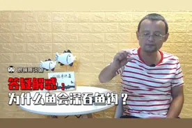 明明调钓很灵敏，鱼却吞钩很深，其实是过度放口所致视频封面
