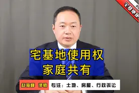 赵海峰律师：家庭成员共有宅基地使用权视频封面