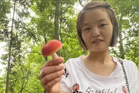 野生蘑菇出菇季节来了，灵芝手把手分享蘑菇怎么进行人工培育种子视频封面