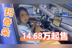 车展实拍WEY玛奇朵：14.68万起售，跑一公里三毛钱？视频封面