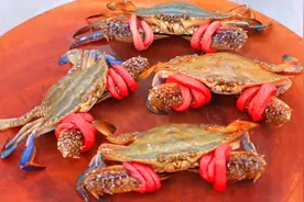 厨师长教你做清蒸蟹，从挑选到制作讲解详细，蟹肉鲜嫩蟹黄不外流视频封面