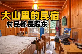 位于贵州大山里的民宿，全村民都是股东，真的太羡慕他们了视频封面