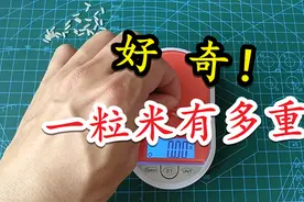 好奇：一粒米、一粒饭有多重呢？视频封面