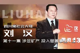 第十一集（上）袁宝璟彻底覆灭，刘汉涉足矿产行业视频封面