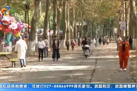 武汉未来三天晴冷天气为主，最高温将下降6℃！视频封面