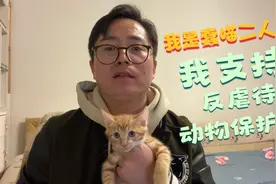 为了更好的保护身边的流浪动物，我支持《反虐待动物保护法》立法视频封面