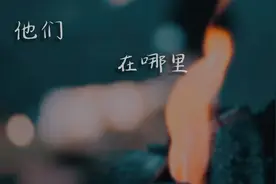 他们在哪里视频封面