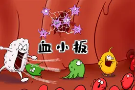 医学手绘动漫 |【血小板】的一切 Q萌版视频封面