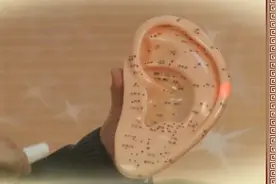 耳穴养生保健操视频封面