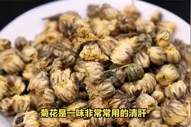 常喝决明子菊花茶，清热明目、降压降脂、通便解毒视频封面